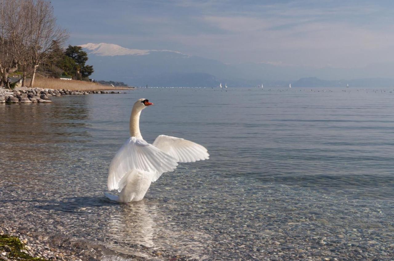 Alice'S Nest-Lake View House Padenghe sul Garda Buitenkant foto